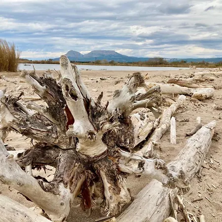 Estartit Delta 4c 埃斯塔蒂特